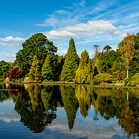 Buy canvas prints of Reflections at Sheffield Park by Nick Hunt