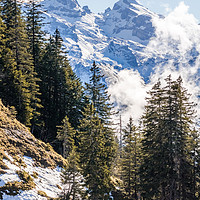 Buy canvas prints of Swiss Alps by Mike C.S.