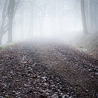 Buy canvas prints of Misty Woodland path by Lubos Fecenko