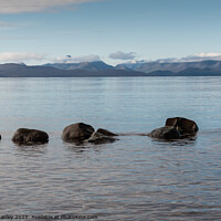 Buy canvas prints of View from Applecross peninsular to Isle of Rassay and Isle of Skye by louise stanley