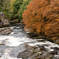 Buy canvas prints of Old summer house overlooking Invermoriston Falls  by louise stanley