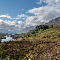 Buy canvas prints of Loch Affric and Kintail mountains beyond from Am Meallan Viewpoint Glen Affric by louise stanley