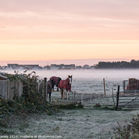 Buy canvas prints of Waiting on a frosty morning by louise stanley
