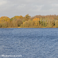 Buy canvas prints of Panoramic View Alton Waters by louise stanley