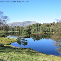 Buy canvas prints of Tarn Hows - Lake District, Cumbria by Heather McGow