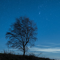 Buy canvas prints of Lone Tree Under A Starry Sky by Craig Oxley