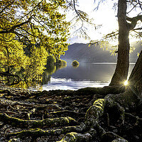Buy canvas prints of Lake District in autumn by Robbie Spencer