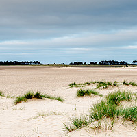 Buy canvas prints of Wells-Next-The-Sea beach by Robbie Spencer