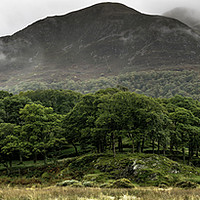 Buy canvas prints of Crummock Water Panorama by Robbie Spencer