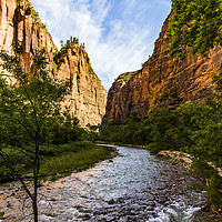 Buy canvas prints of Virgin River Zion National Park by Anthony Rosner