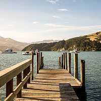 Buy canvas prints of Wooden pier in Akaroa  by Anthony Rosner