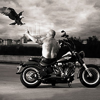 Buy canvas prints of Harley Davidson Freedom Eagle by Don Barrett