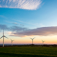 Buy canvas prints of A wind farm at sunrise by David Wall