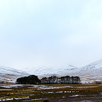 Buy canvas prints of Bleak Winters Day by David Wall