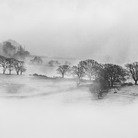 Buy canvas prints of Winter mist by David Wall