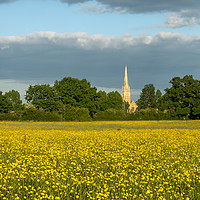 Buy canvas prints of Buttercups  by David Wall