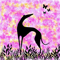 Buy canvas prints of Greyhound Sighthound Silhouette by Donna Joyce