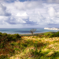 Buy canvas prints of View across the Isle of Wight by Donna Joyce