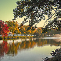 Buy canvas prints of Charles River, Boston by Steve Thomson