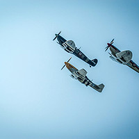 Buy canvas prints of Three Veterans of the Air by Steve Thomson