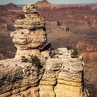 Buy canvas prints of The Grand Canyon - South Rim by Steve Thomson