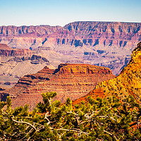 Buy canvas prints of The Grand Canyon from the South Rim by Steve Thomson