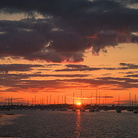 Buy canvas prints of Harbour Sunset - Chichester by Steve Thomson