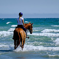 Buy canvas prints of Beach Rider by Steve Thomson