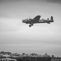 Buy canvas prints of On approach by sharon revell