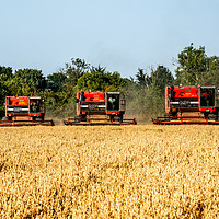 Buy canvas prints of 3 Inline Combine Harvesters by Neal Trafankowski