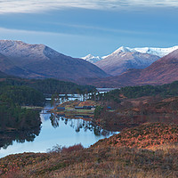 Buy canvas prints of Glen Affric from Am Meallan by Mike Johnston