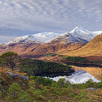 Buy canvas prints of Glen Affric in winter by Mike Johnston