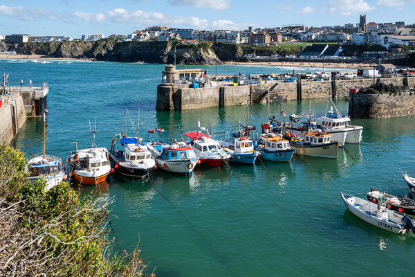 Boats lined up at Newquay Harbour  Picture Board by Tony Twyman