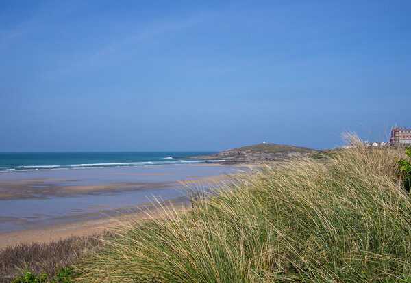 Dune grass at Fistral Beach Picture Board by Tony Twyman