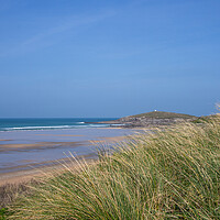 Buy canvas prints of Dune grass at Fistral Beach by Tony Twyman