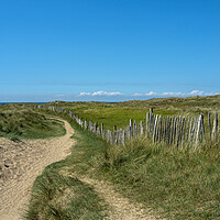 Buy canvas prints of Pathway through the dunes by Tony Twyman