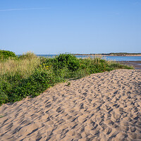 Buy canvas prints of Instow sand dunes by Tony Twyman