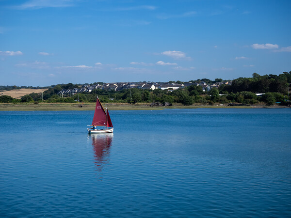 Yacht on the River Torridge at Bideford Picture Board by Tony Twyman