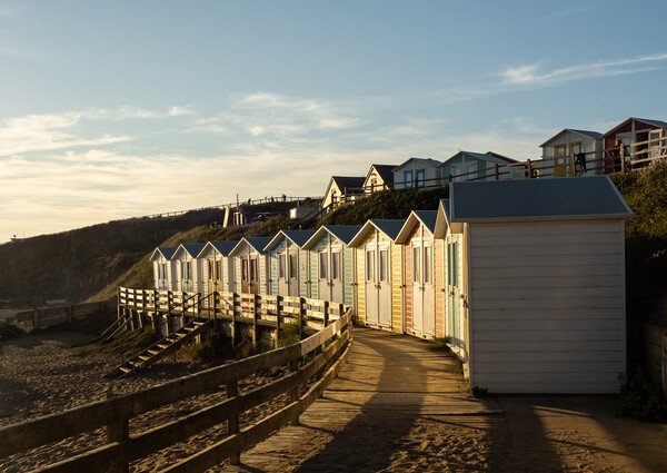 Summerleaze beach huts at Bude Picture Board by Tony Twyman