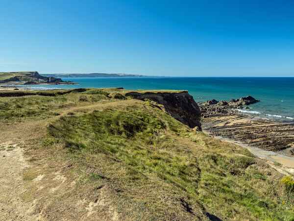 Scenic views across Bude from Maer Cliffs Picture Board by Tony Twyman