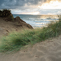 Buy canvas prints of North Devon sand dunes by Tony Twyman