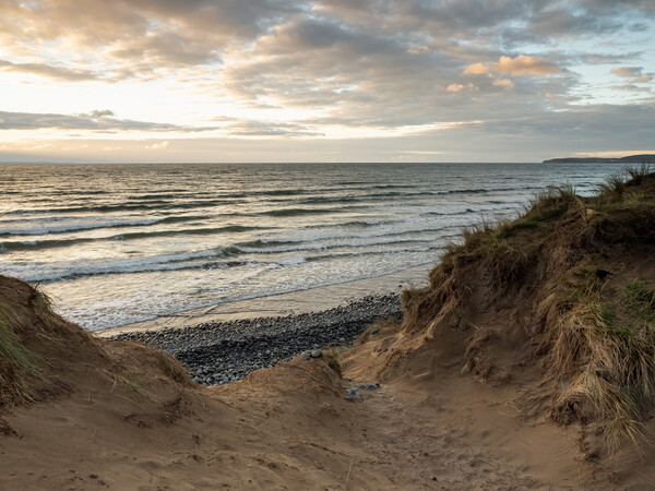 North Devon sand dunes Picture Board by Tony Twyman