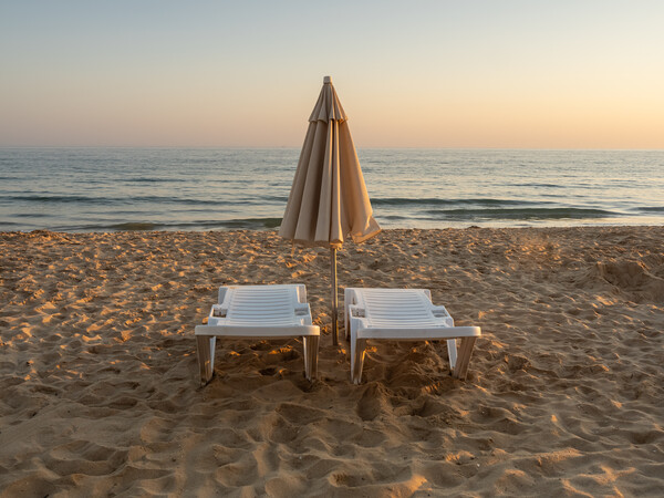 Sun beds on Falesia Beach in Portugal Picture Board by Tony Twyman
