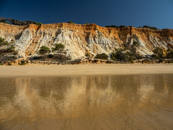 Falesia beach sea cliffs Picture Board by Tony Twyman