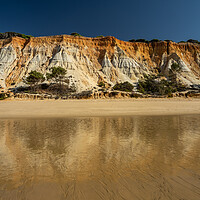 Buy canvas prints of Falesia beach sea cliffs by Tony Twyman