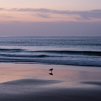 Buy canvas prints of Sunrise on the Algarve coast by Tony Twyman
