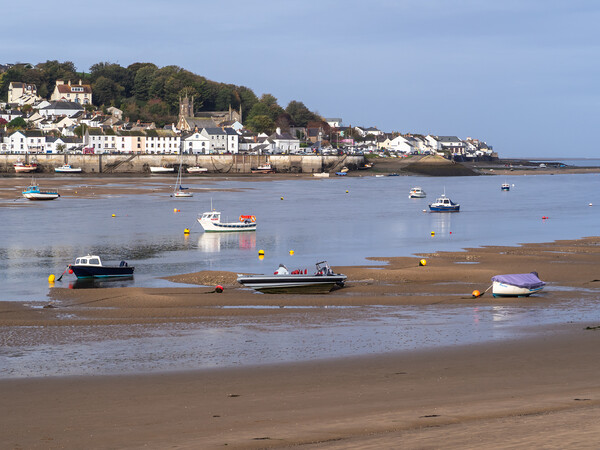 Appledore waterfront in North Devon Picture Board by Tony Twyman