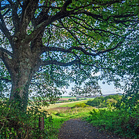 Buy canvas prints of Beautiful North Devon countryside by Tony Twyman