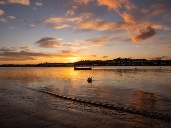 Beautiful Sunset clouds at Appledore Picture Board by Tony Twyman