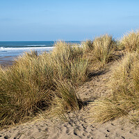 Buy canvas prints of Sand dunes at Widemouth Bay by Tony Twyman